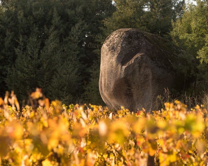 Unveil the Jewels of a Singular Terroir 4 ...